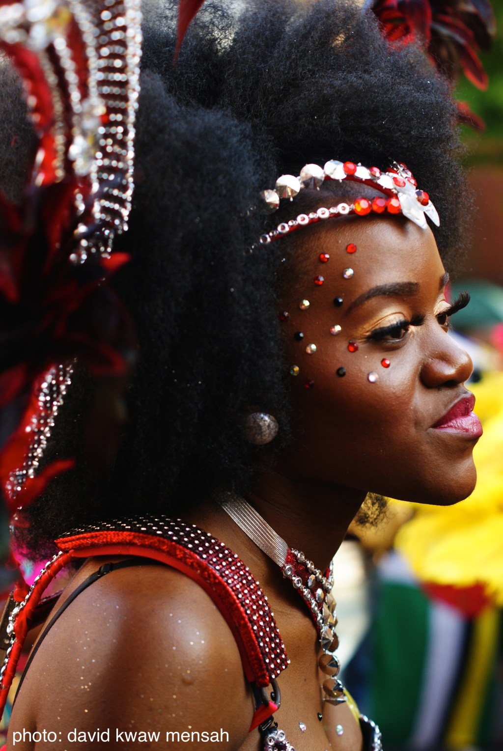 Photo Gallery: Notting Hill Carnival 2013