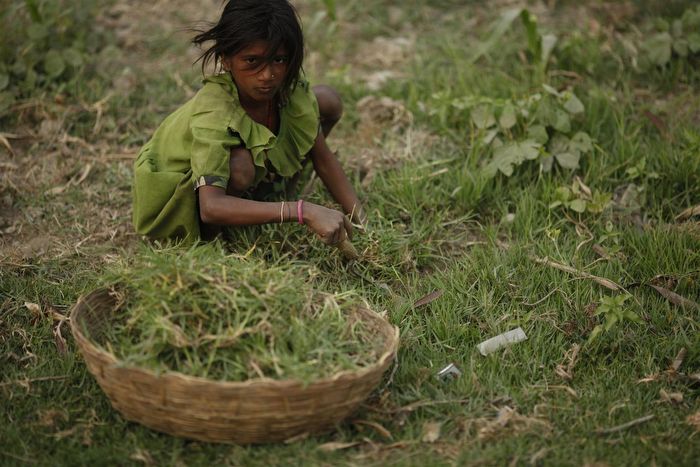 Cheap Labour = Child Labour (Part 1)