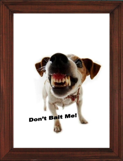 Clipping Racism [Don’t Bait&nbsp;Me!]