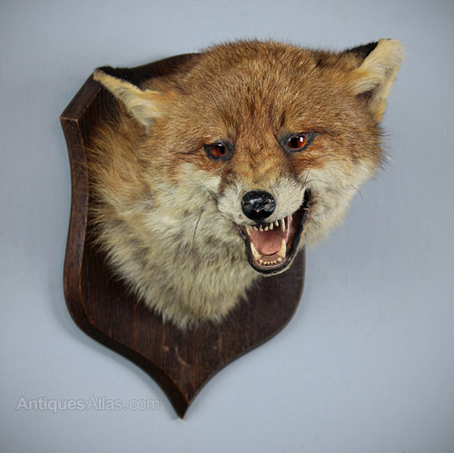 From Cecil the Lion to a Pig’s Head: Why rich white men do what they&nbsp;do