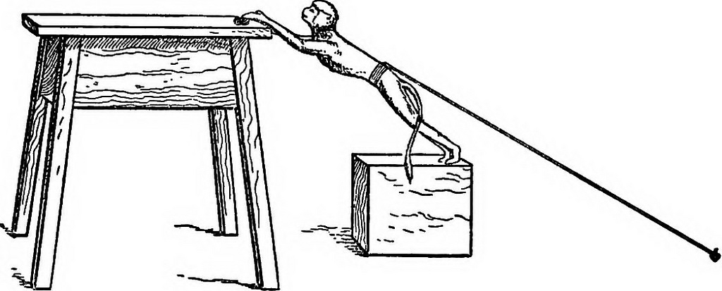 “Where are the Arab Intellectuals?” and other obsessions that won’t die