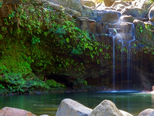 The Woman of Water Dreams