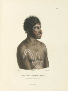 Gamareagal warrior, Musquito