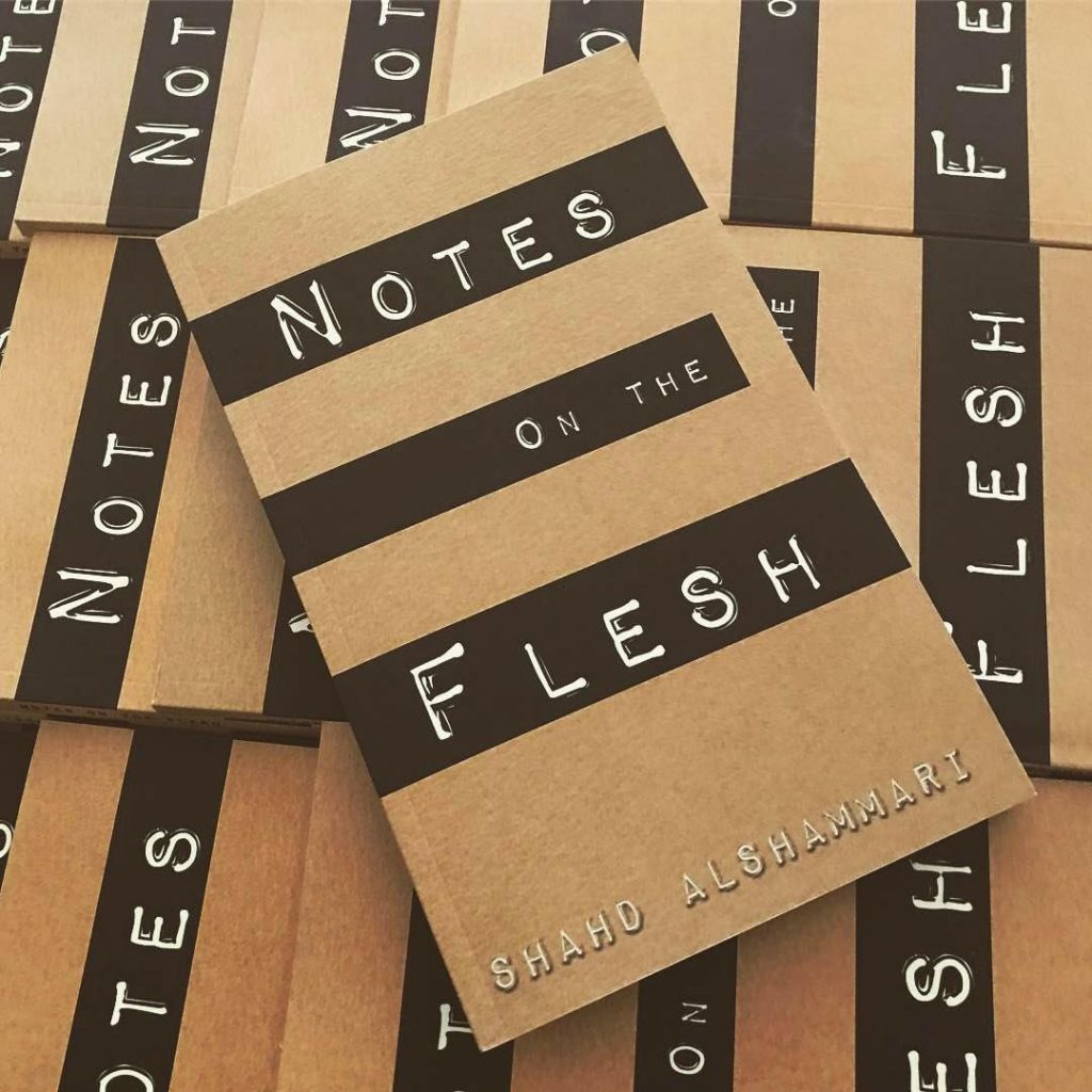 Fleshing Out a Narrative of Illness: Notes on the Flesh