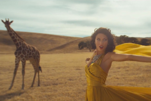 Travelling whilst white? How to enter&nbsp;Africa